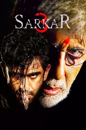 Sarkar 3 2017 190mb hindi movie Download Movie Poster