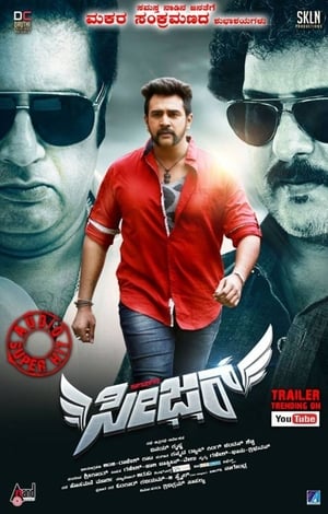 Seizer 2018 Movie Hindi Dubbed [1.4GB] Movie Poster