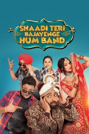 Shaadi Teri Bajayenge Hum Band (2018) Hindi Movie [160MB] Movie Poster