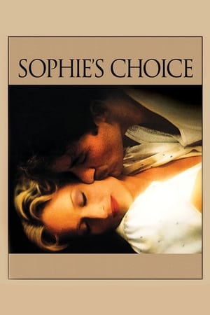 Sophie's Choice (1982) Dual Audio Hindi 460MB Movie Poster