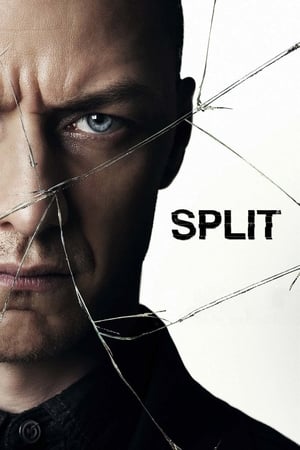 Split (2017) Full Movie Download [HD-] 450MB Movie Poster