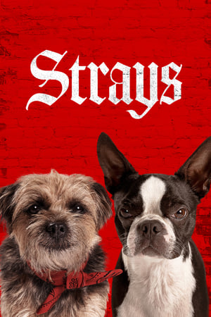 Strays (2023) Hindi Dual Audio – Movie Poster