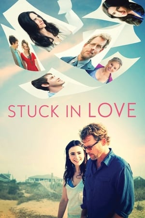 Stuck in Love (2012) Hindi Dual Audio [850MB] Movie Poster