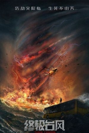 Super Typhoon 2020 Hindi Dual Audio – 480p