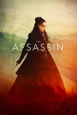 The Assassin 2015 Hindi Dual Audio 300MB Movie Poster