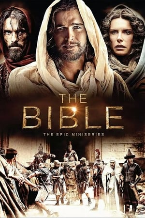 The Bible 2013 S01E05 (Hindi) Dubbed [250MB] Movie Poster