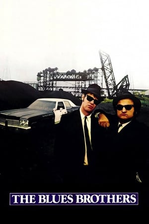 The Blues Brothers (1980) Hindi Dual Audio Movie - 1.2GB Movie Poster