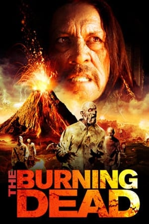 The Burning Dead (2015) Hindi Dual Audio 300MB Movie Poster