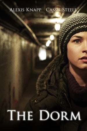 The Dorm 2014 Hindi Dual Audio 250MB Movie Poster