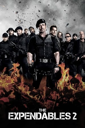 The Expendables 2 (2012) 100mb Hindi Dual Audio movie Download Movie Poster