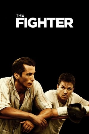 The Fighter (2010) Hindi Dual Audio 360MB Movie Poster