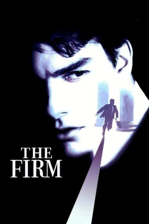 The Firm (1993) Hindi Dual Audio [980MB] Movie Poster