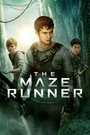 The Maze Runner (2014) Hindi Dual Audio 400MB Movie Poster