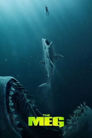 The Meg (2018) Hindi (Org) Dual Audio 350MB Movie Poster