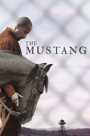 The Mustang (2019) Hindi Dual Audio 300MB Movie Poster
