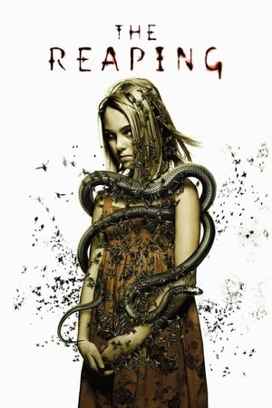 The Reaping (2007) Hindi Dual Audio 340MB Movie Poster