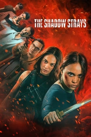 The Shadow Strays 2024 Hindi Dual Audio – 720p – Movie Poster