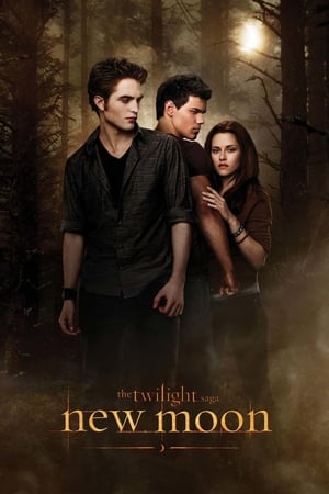 The Twilight Saga New Moon (2009) Hindi Dual Audio [1.0GB] Download Movie Poster