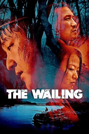The Wailing 2016 Hindi Dual Audio [1.3GB]