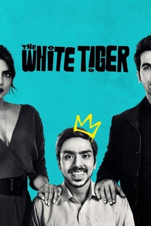 The White Tiger (2021) Hindi Movie [990MB] Movie Poster