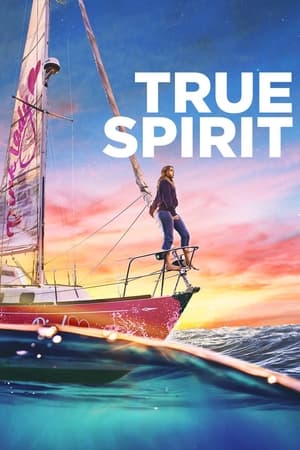 True Spirit (2023) Hindi Dual Audio – Movie Poster