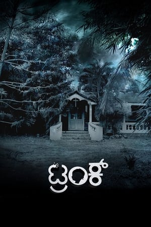 Trunk (2018) (Hindi – Kannada) Dual Audio 450MB Movie Poster