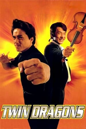 Twin Dragons 1992 [Hindi] Dual Audio 300MB Movie Poster