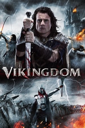 Vikingdom 2013 Hindi Dual Audio [1GB] Movie Poster