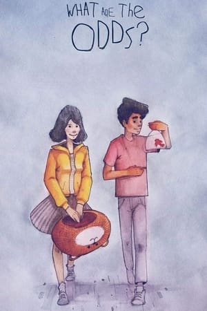 What Are the Odds (2020) Hindi Movie [900MB] Movie Poster