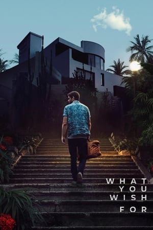 What You Wish For 2023 Dual Audio Hindi – – Movie Poster