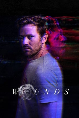 Wounds (2019) Hindi Dual Audio 300MB Movie Poster