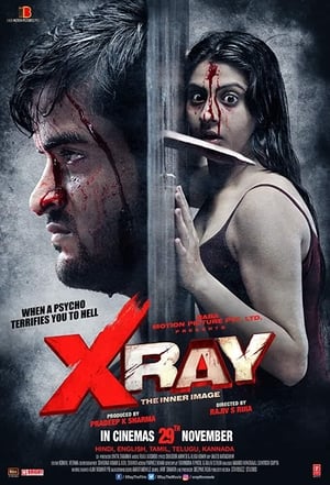 X Ray The Inner Image 2019 Hindi Movie [900MB] Movie Poster