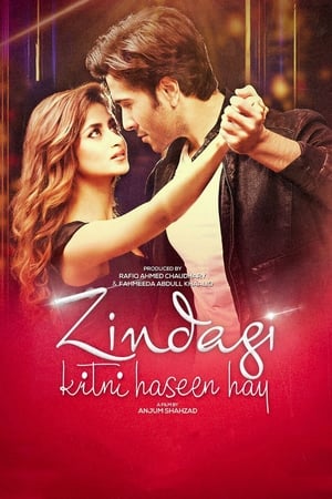 Zindagi Kitni Haseen Hay (2016) Pakistani Movie [980MB] Movie Poster